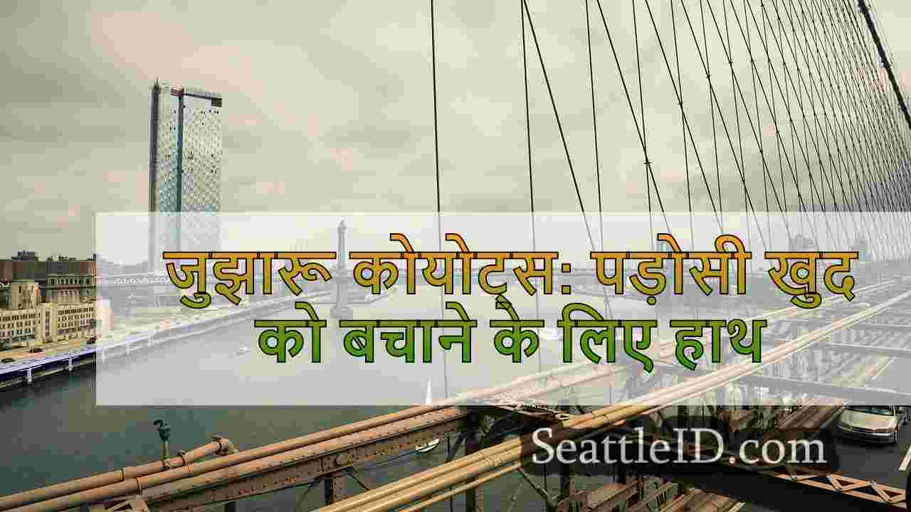सिएटल समाचार SeattleID