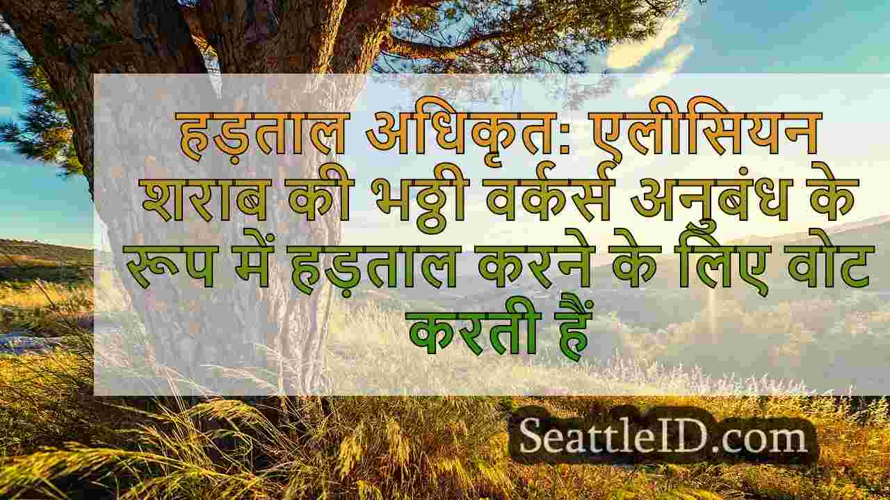 सिएटल समाचार SeattleID