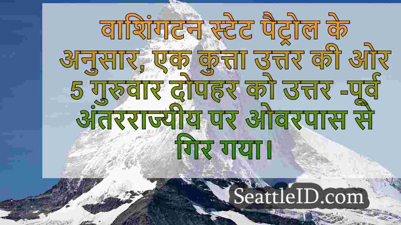 सिएटल समाचार SeattleID
