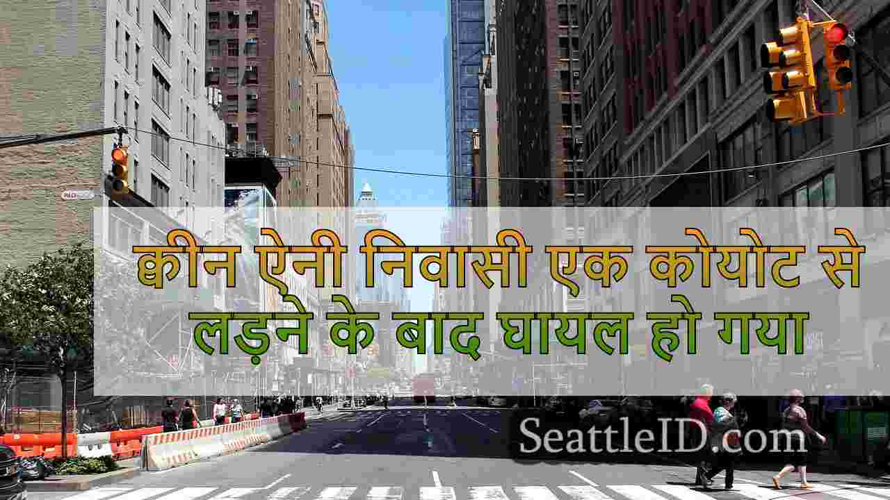 सिएटल समाचार SeattleID