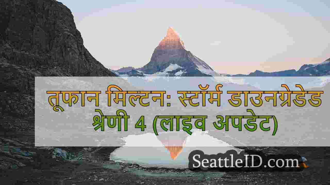 सिएटल समाचार SeattleID