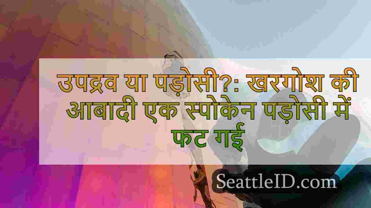 सिएटल समाचार SeattleID