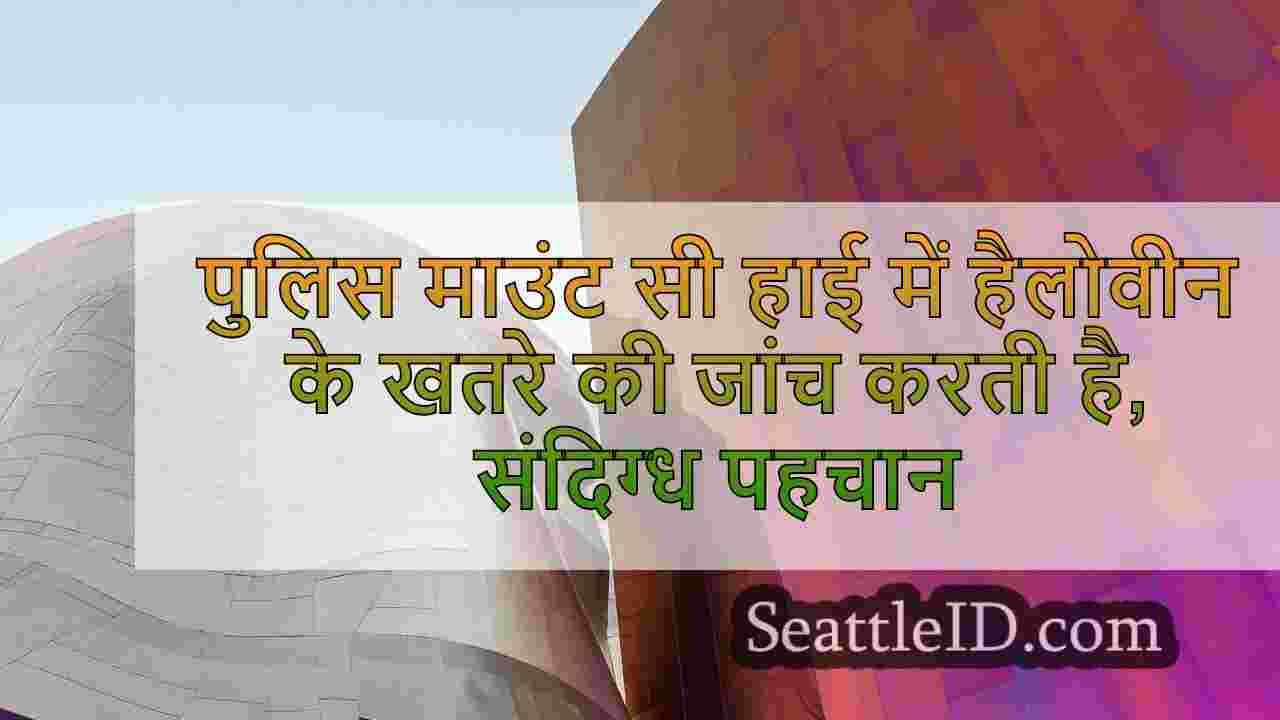 सिएटल समाचार SeattleID