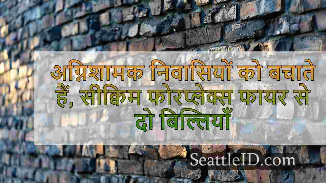 सिएटल समाचार SeattleID