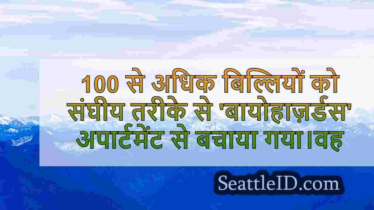 सिएटल समाचार SeattleID