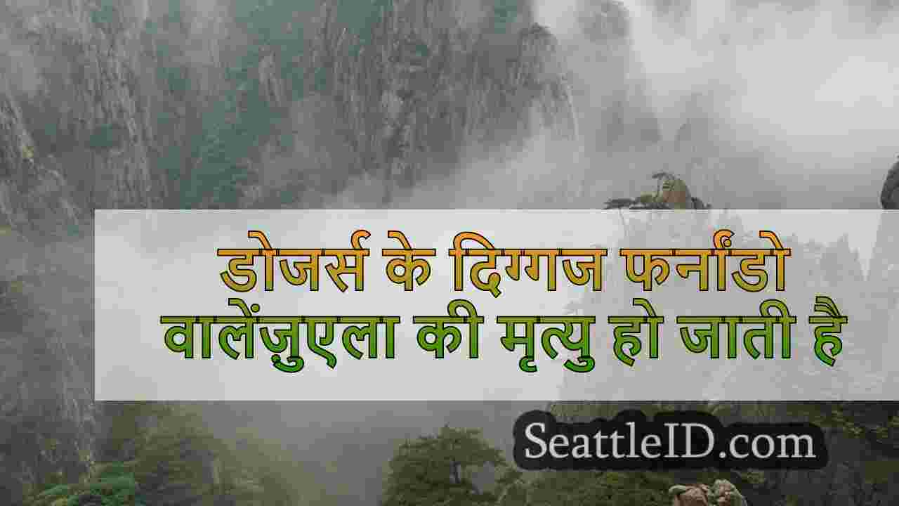 सिएटल समाचार SeattleID