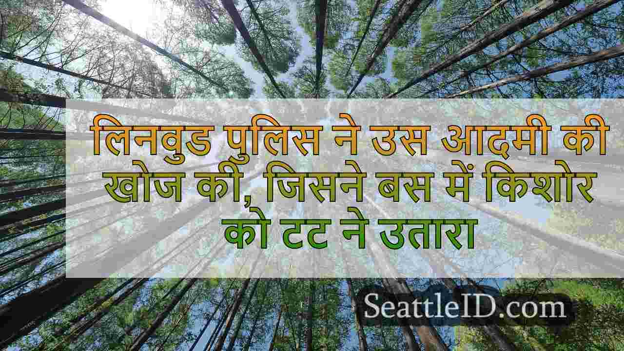 सिएटल समाचार SeattleID
