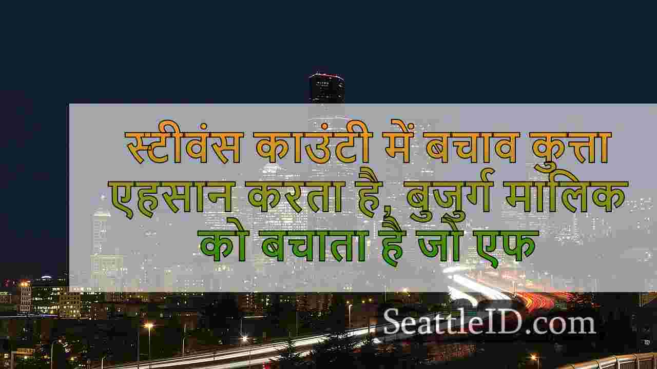 सिएटल समाचार SeattleID