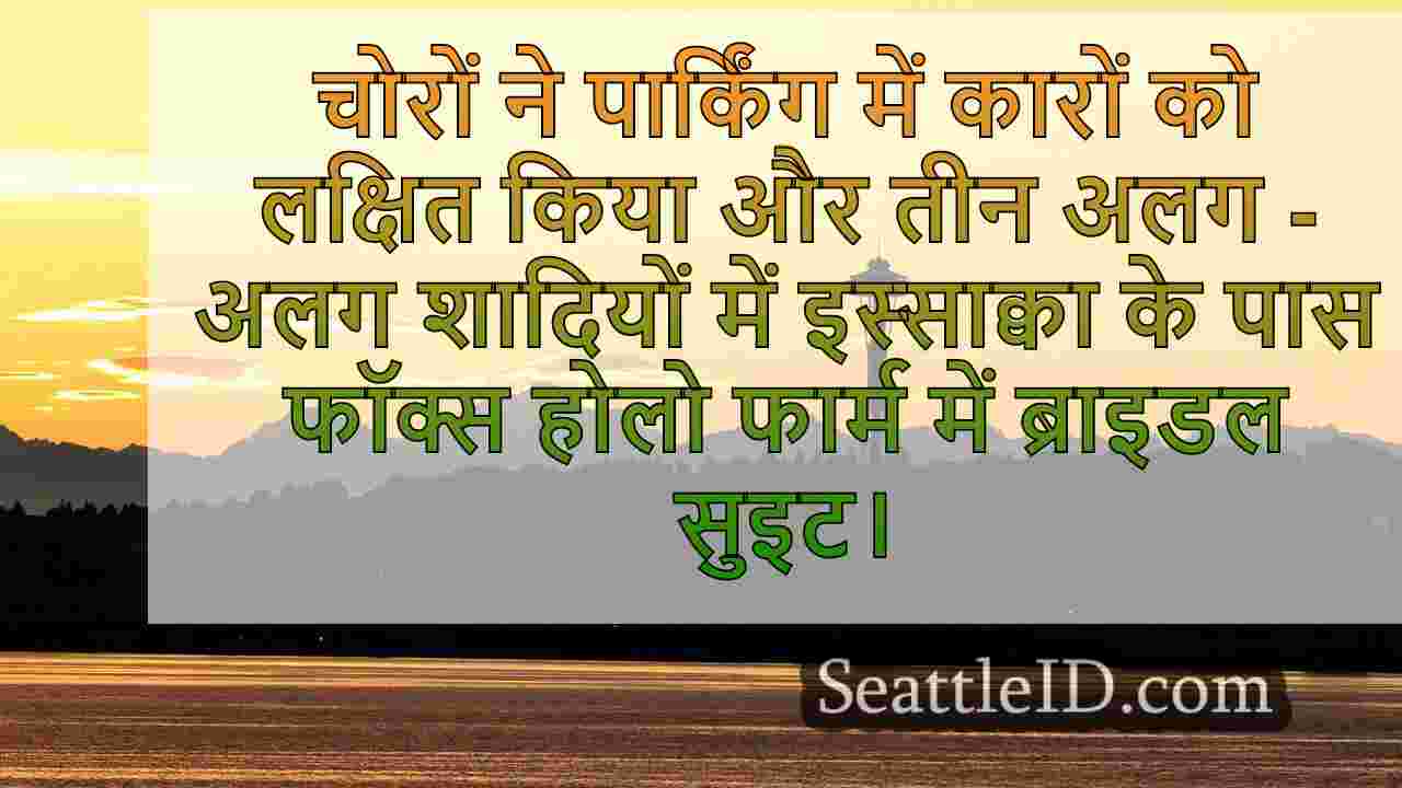 सिएटल समाचार SeattleID