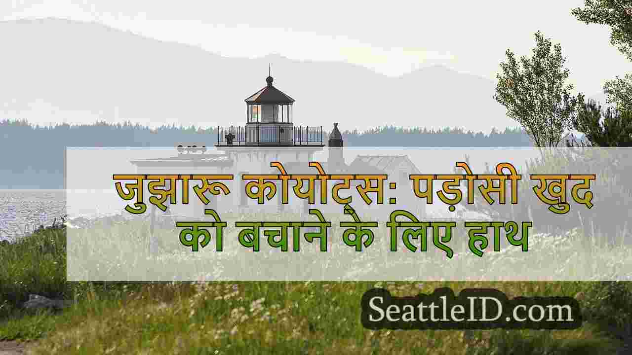 सिएटल समाचार SeattleID
