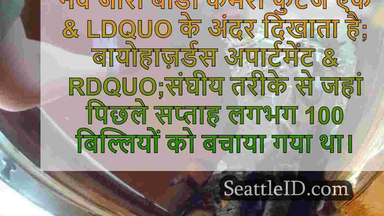 सिएटल समाचार SeattleID