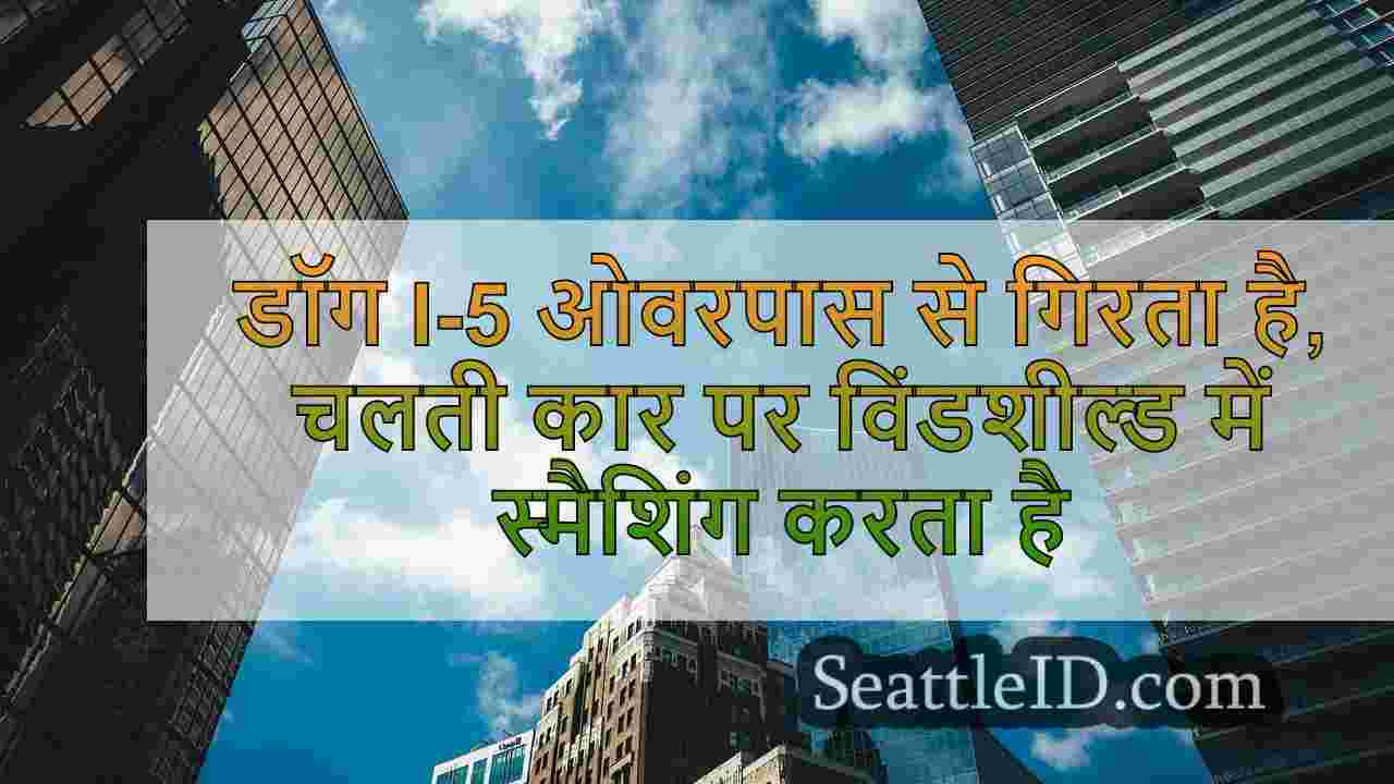 सिएटल समाचार SeattleID