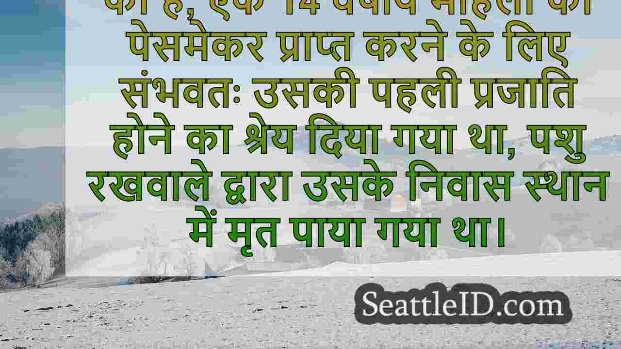 सिएटल समाचार SeattleID