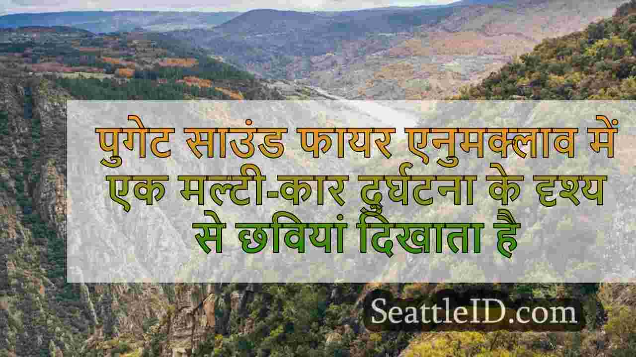 सिएटल समाचार SeattleID