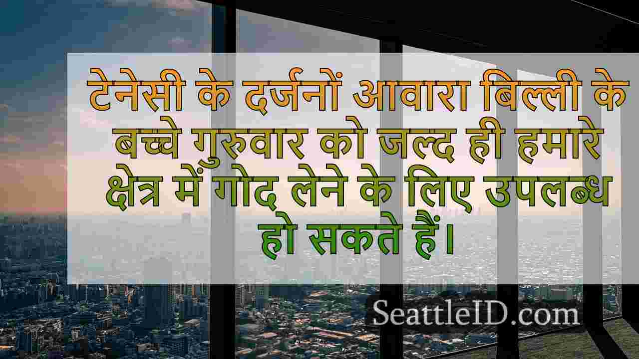 सिएटल समाचार SeattleID