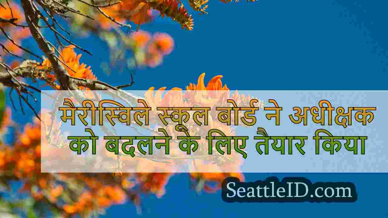 सिएटल समाचार SeattleID
