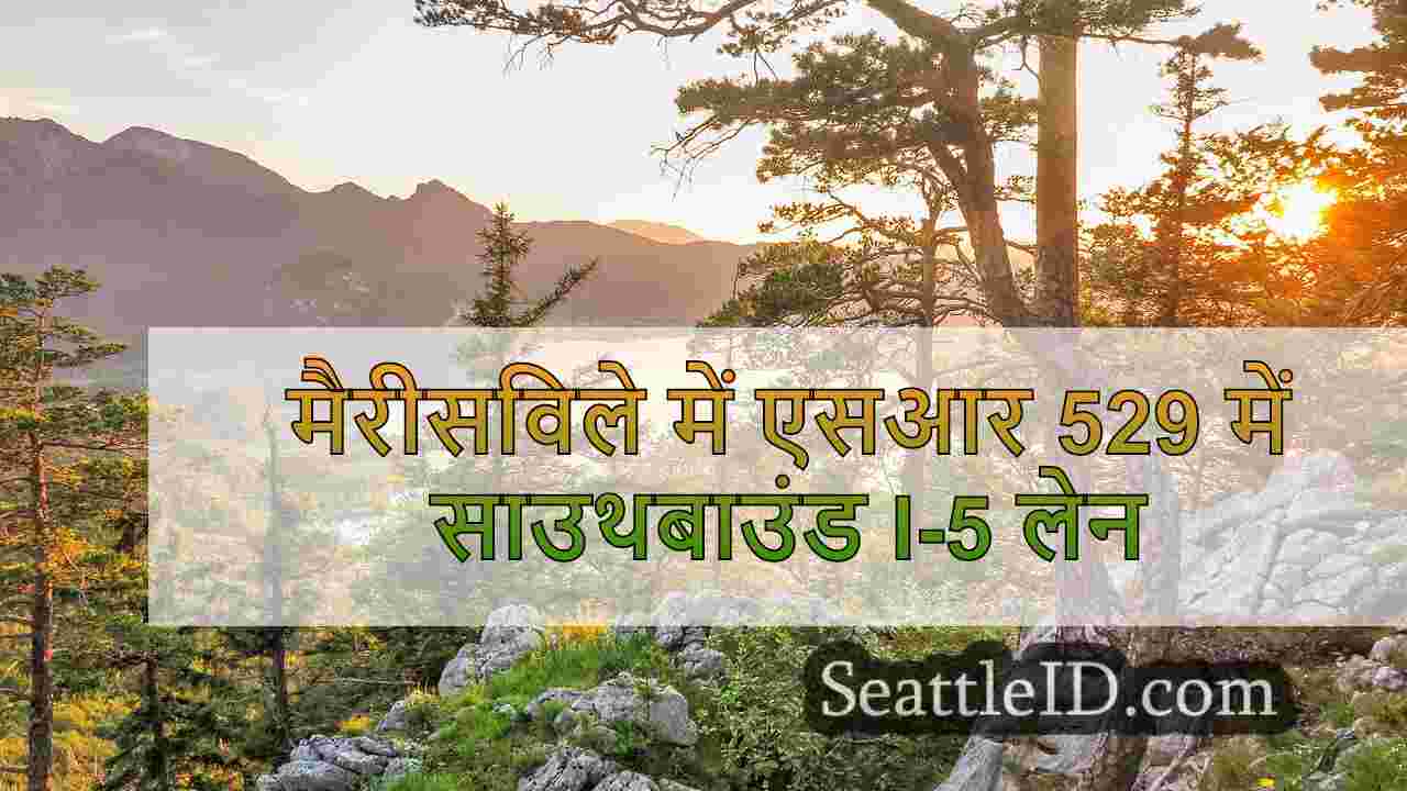 सिएटल समाचार SeattleID