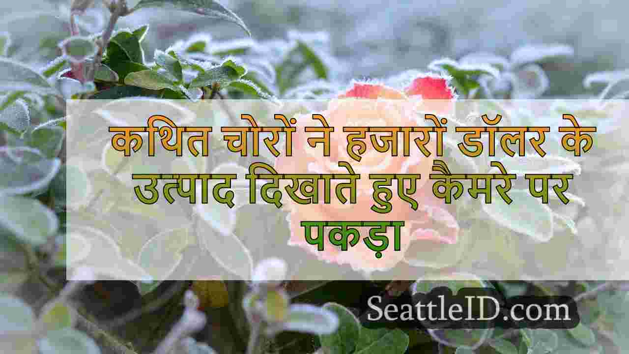 सिएटल समाचार SeattleID