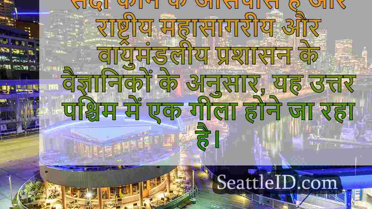 सिएटल समाचार SeattleID