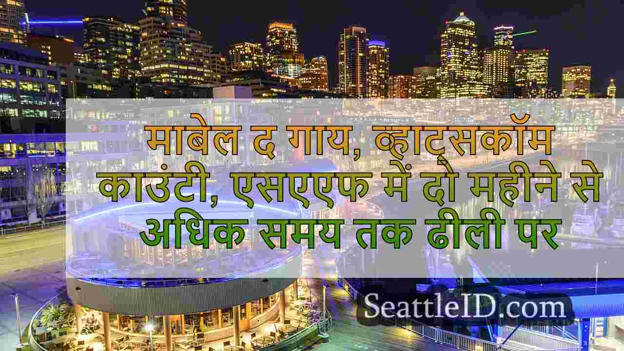 सिएटल समाचार SeattleID
