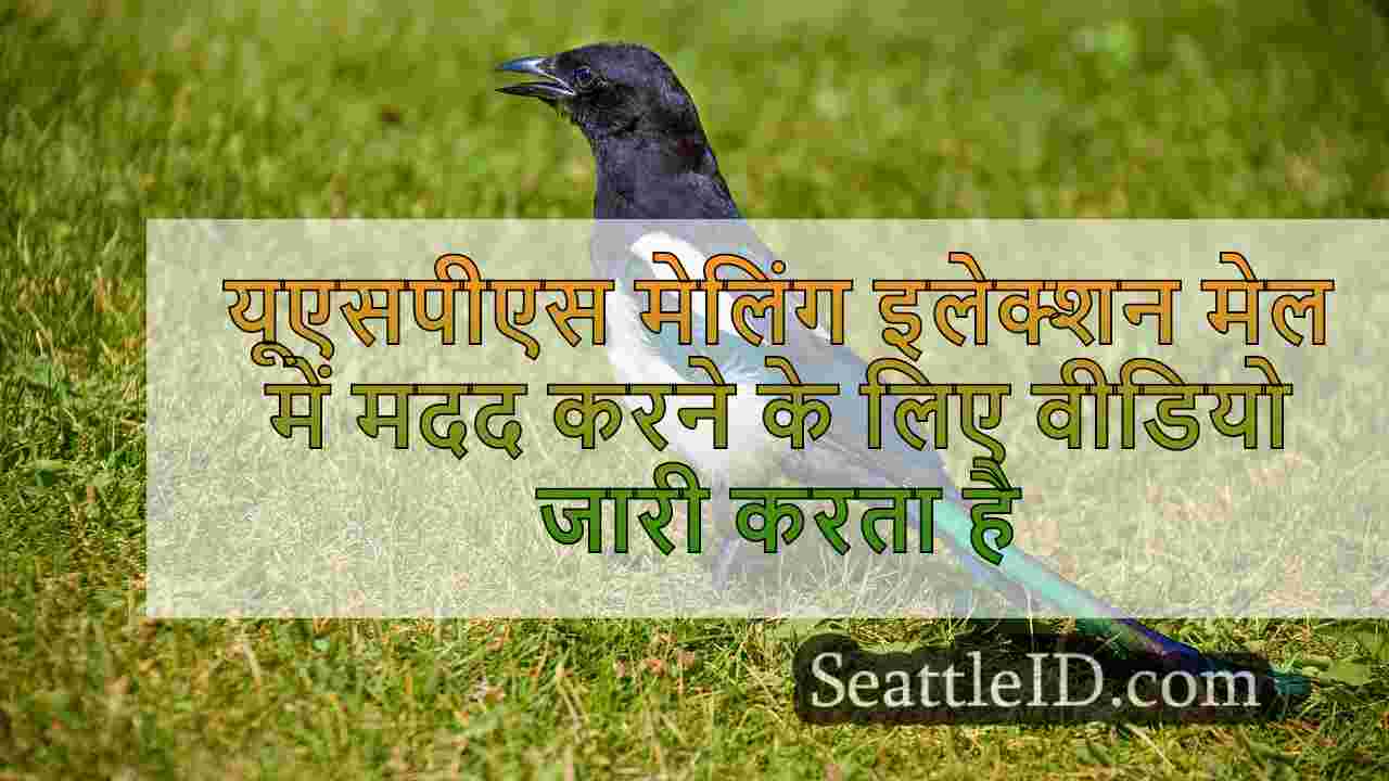 सिएटल समाचार SeattleID