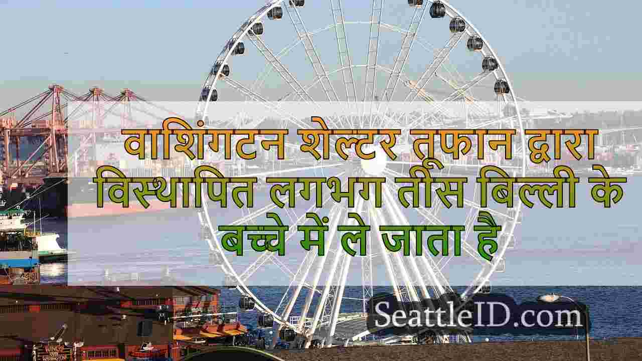 वाशिंगटन शेल्टर तूफान हेलेन द्वारा