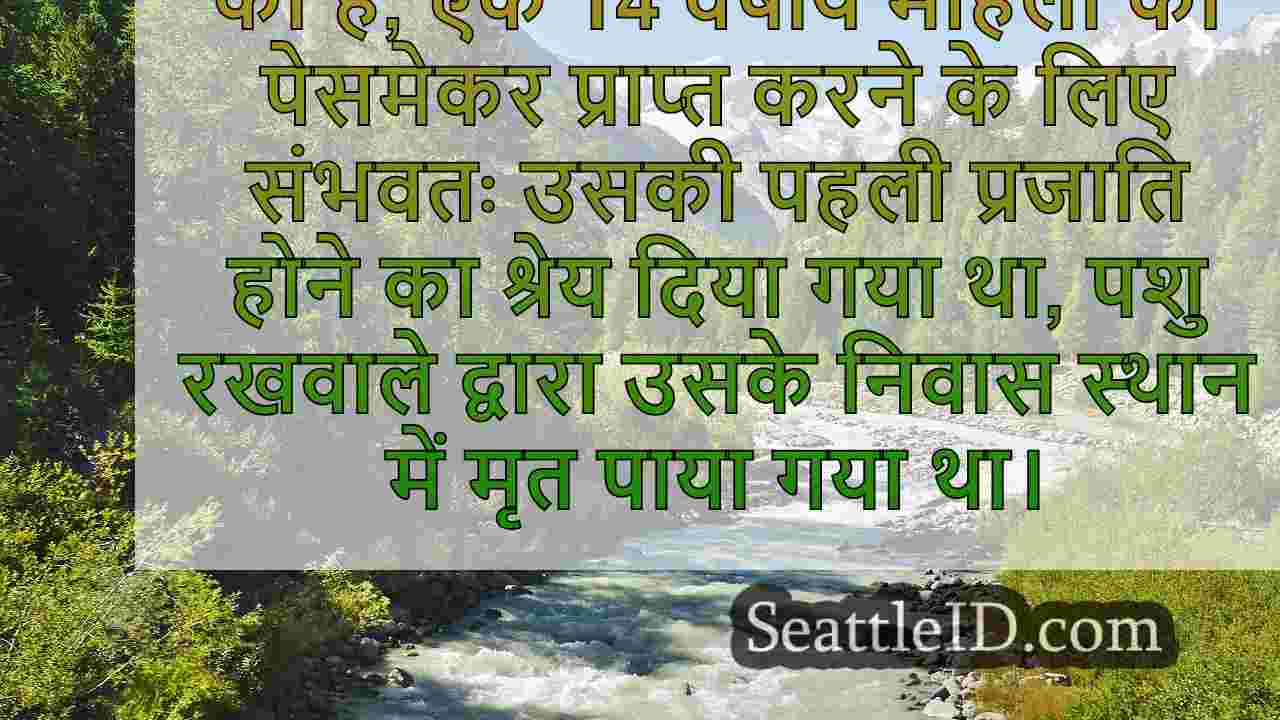 सिएटल समाचार SeattleID