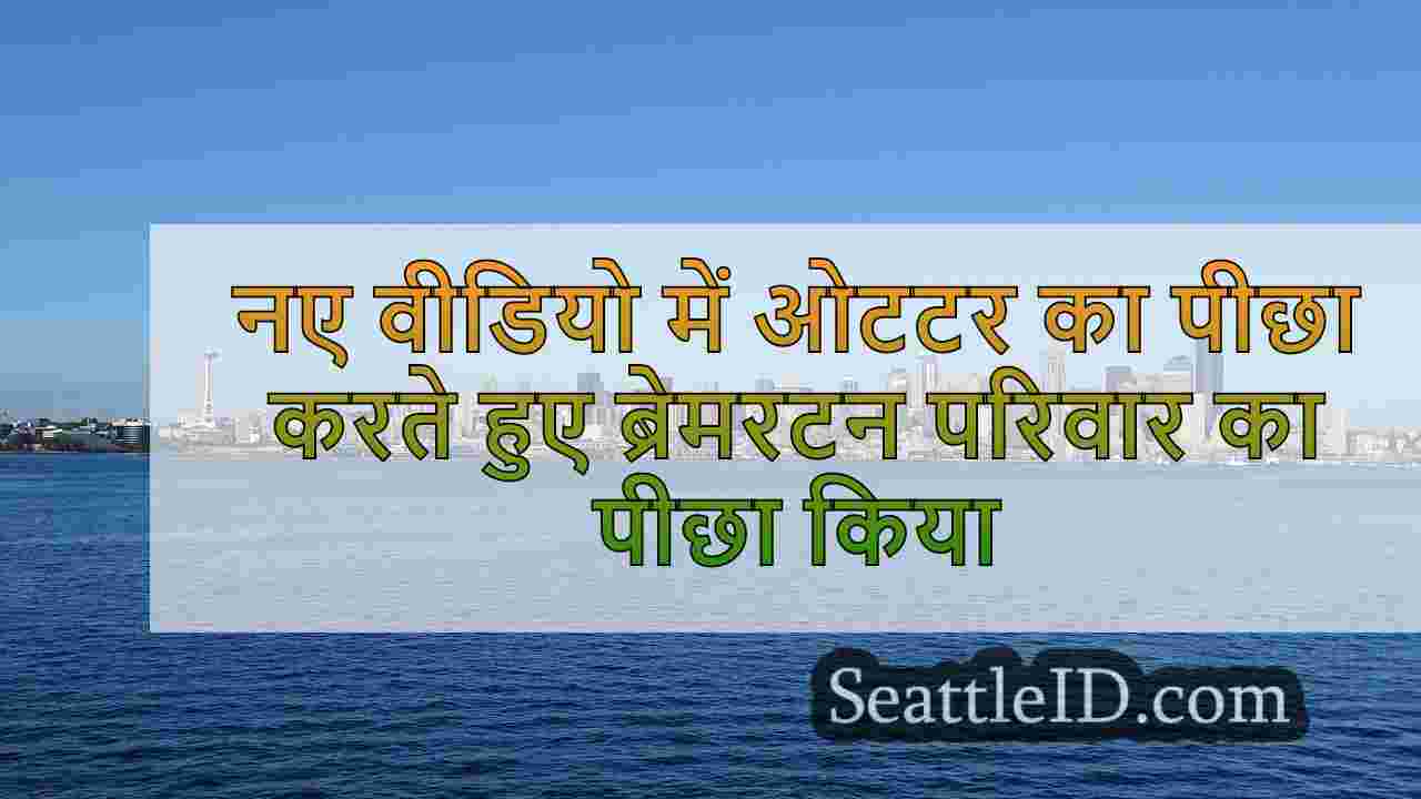 नए वीडियो में ओटटर का पीछा करते हुए