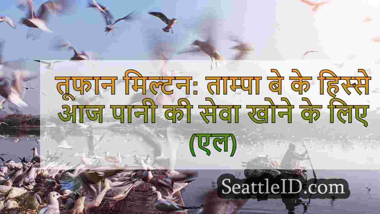 सिएटल समाचार SeattleID