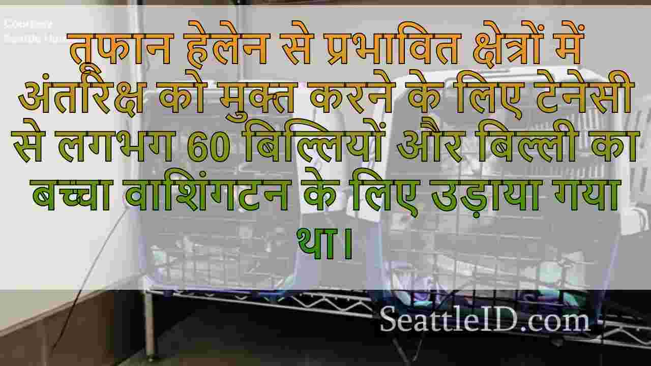 सिएटल समाचार SeattleID