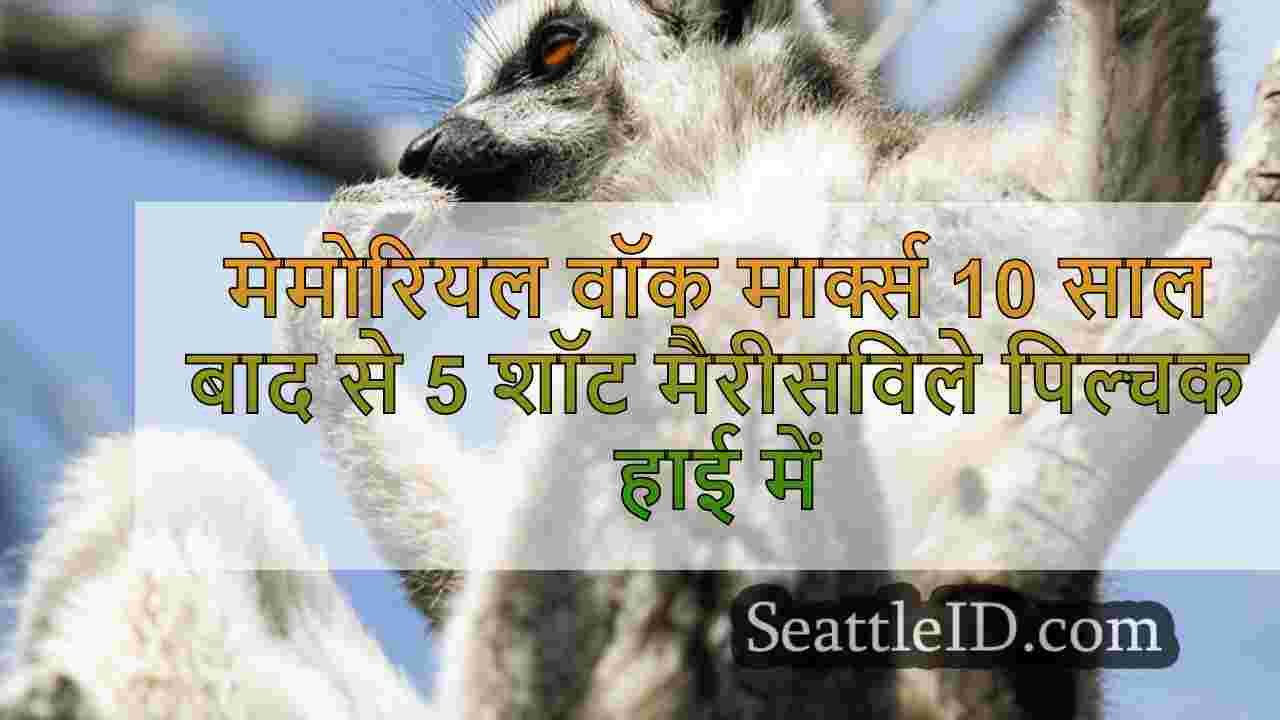 सिएटल समाचार SeattleID