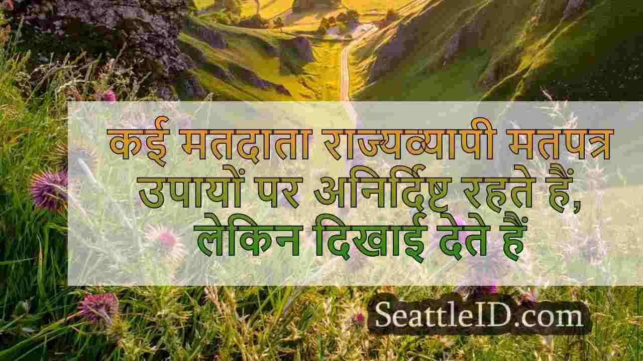 कई मतदाता राज्यव्यापी मतपत्र उपायों पर
