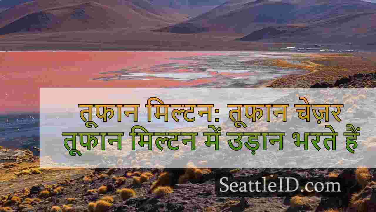 सिएटल समाचार SeattleID