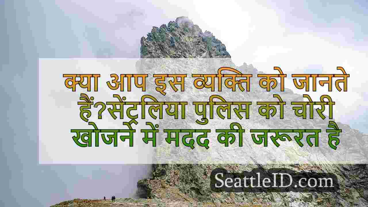 सिएटल समाचार SeattleID