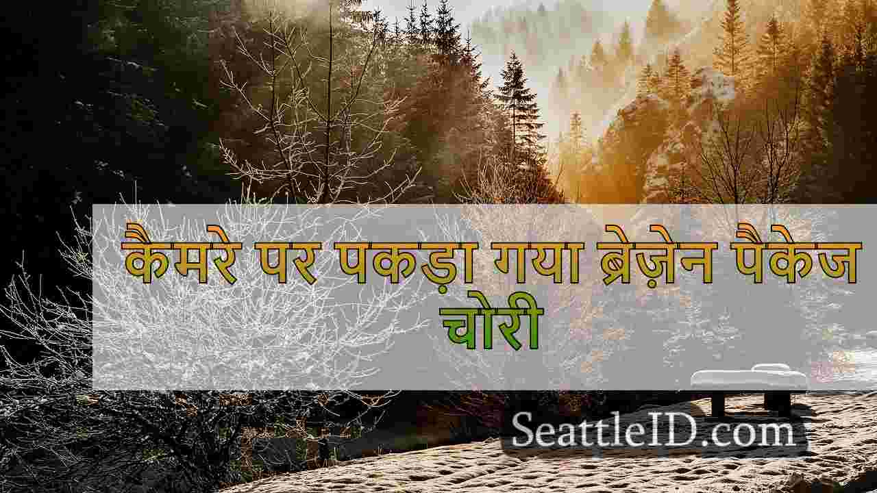 कैमरे पर पकड़ा गया ब्रेज़ेन पैकेज चोरी