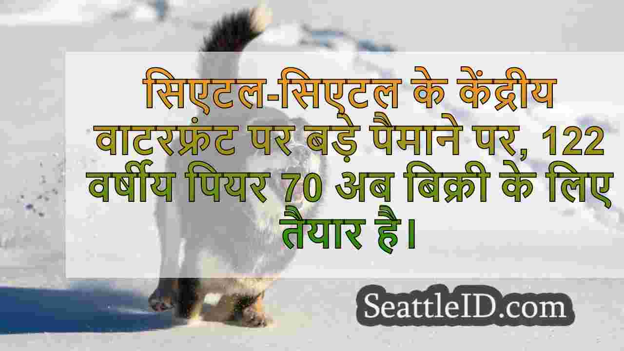 सिएटल समाचार SeattleID