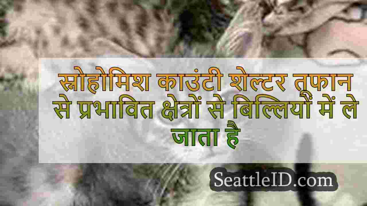 स्नोहोमिश काउंटी शेल्टर तूफान हेलेन से