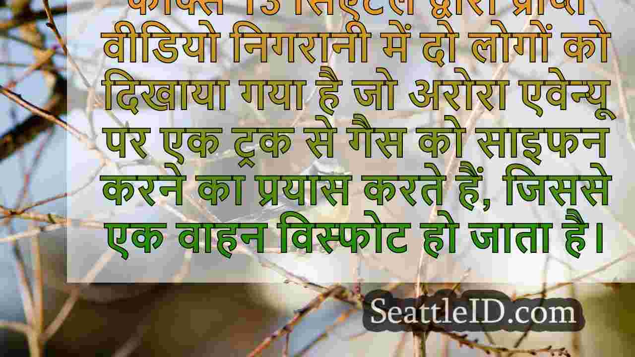 सिएटल समाचार SeattleID