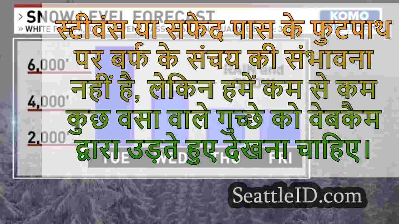 सिएटल समाचार SeattleID
