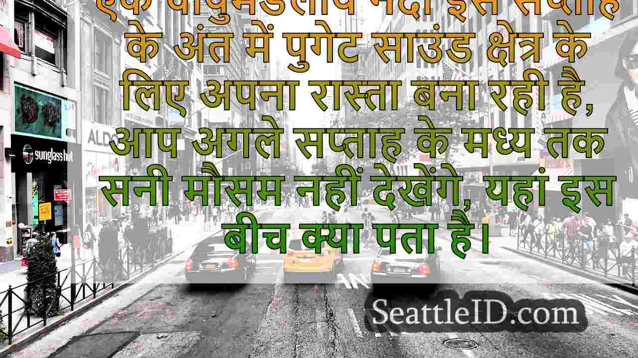 सिएटल समाचार SeattleID