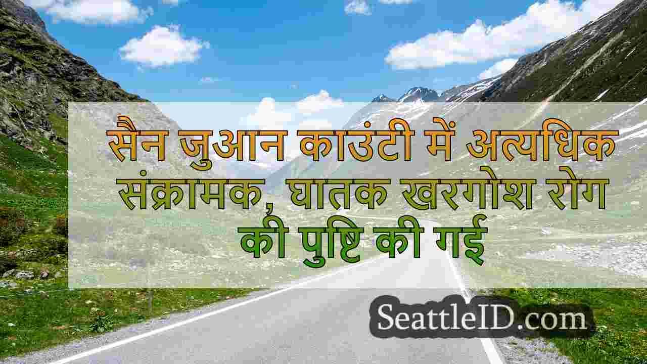 सिएटल समाचार SeattleID