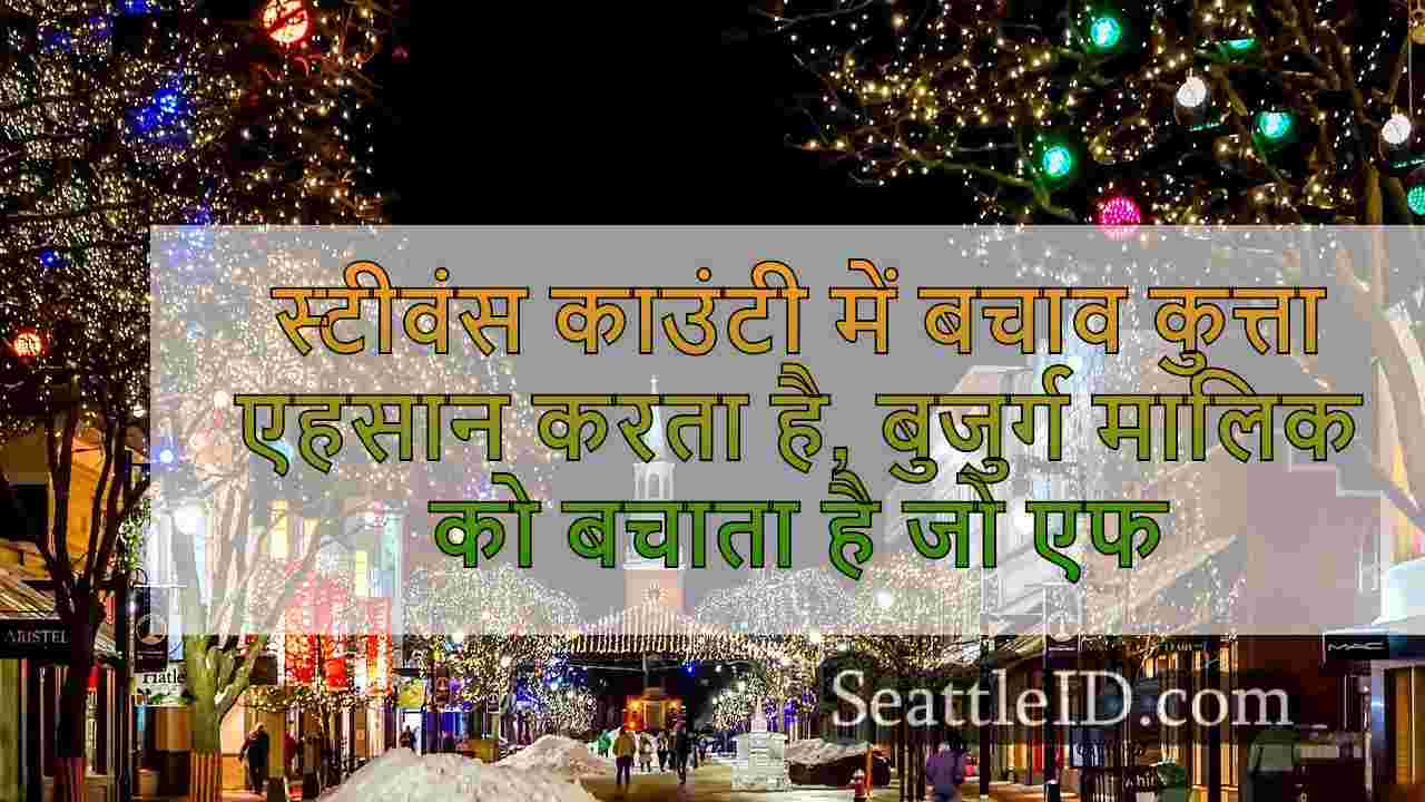 सिएटल समाचार SeattleID