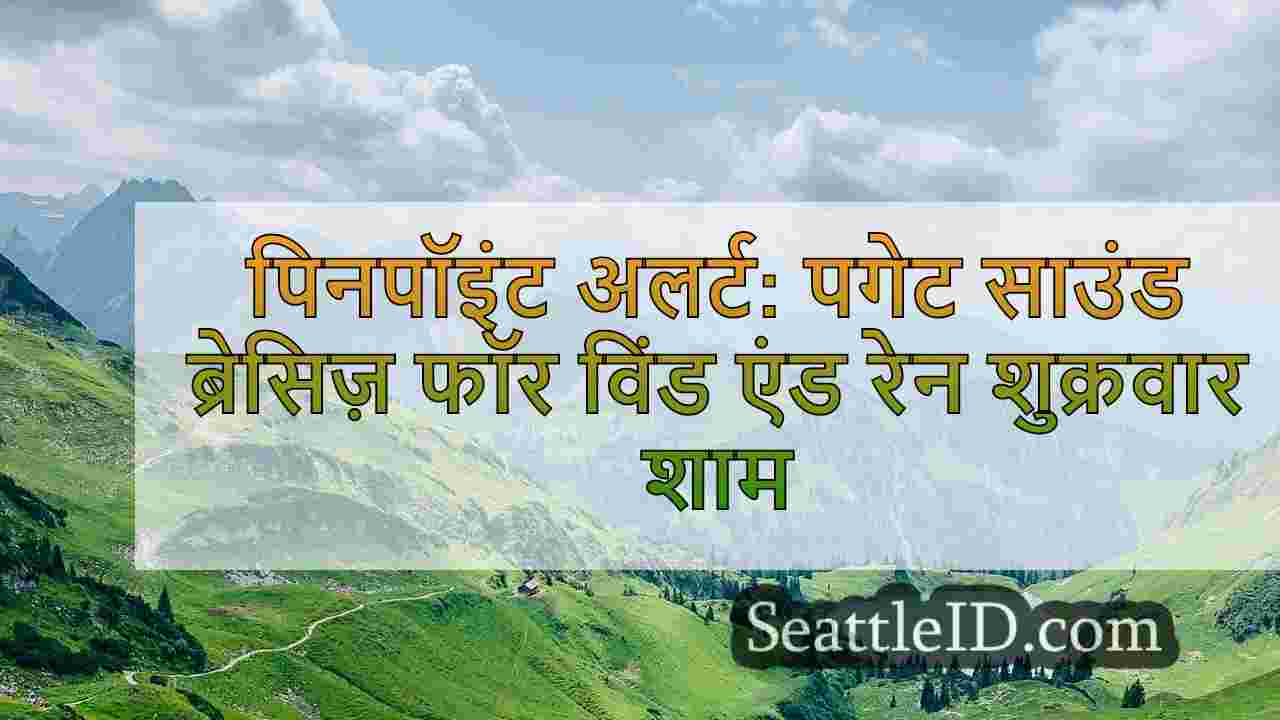 सिएटल समाचार SeattleID