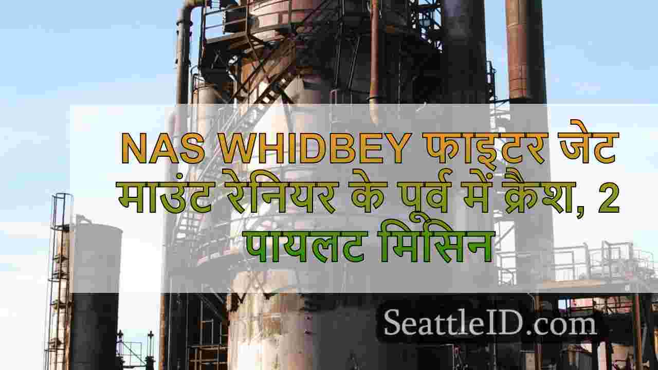 NAS WHIDBEY फाइटर जेट माउंट रेनियर के