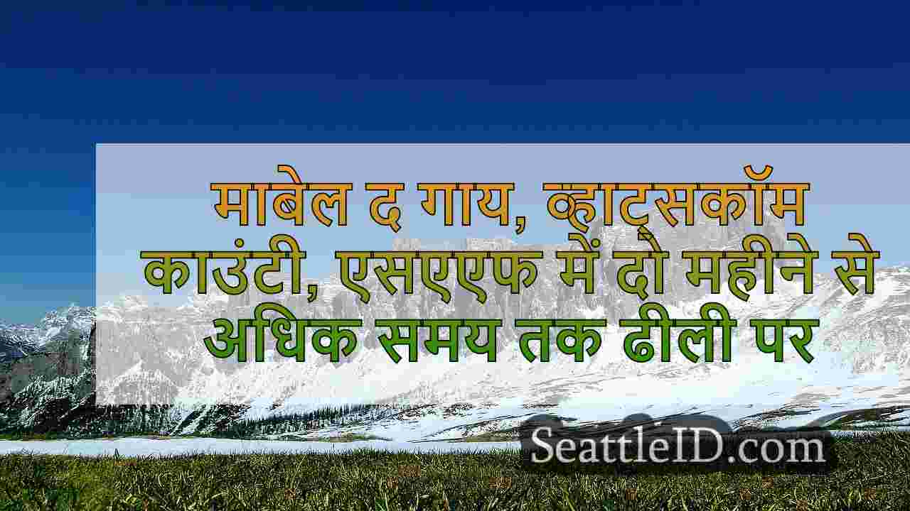 सिएटल समाचार SeattleID