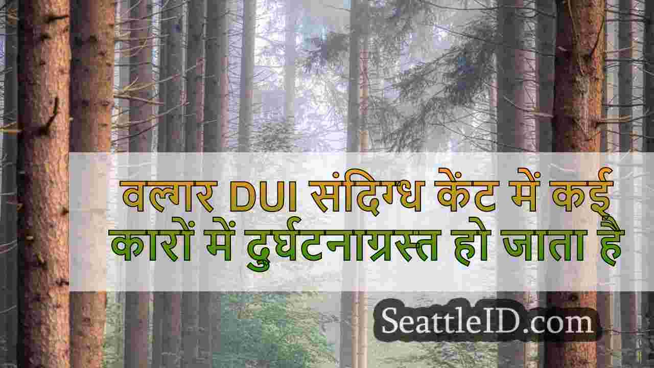 सिएटल समाचार SeattleID