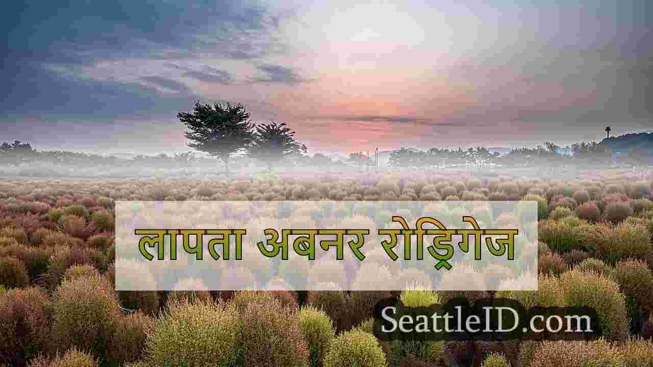 सिएटल समाचार SeattleID