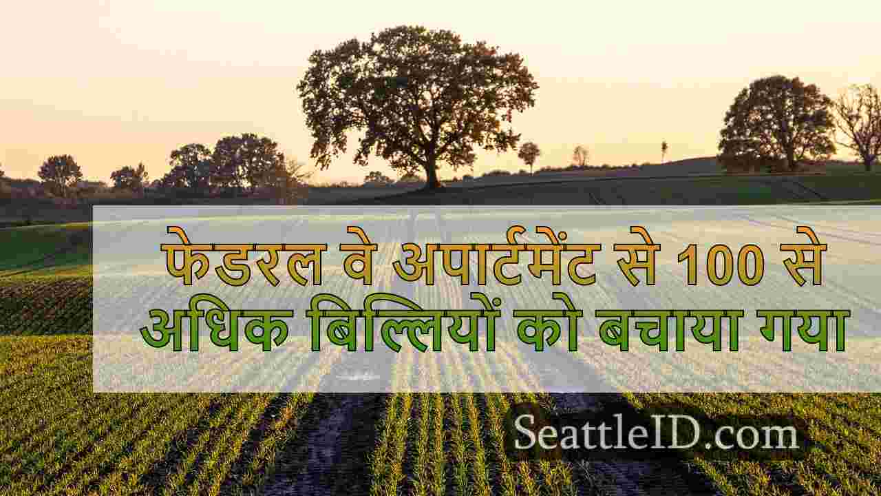 फेडरल वे अपार्टमेंट से 100 से अधिक