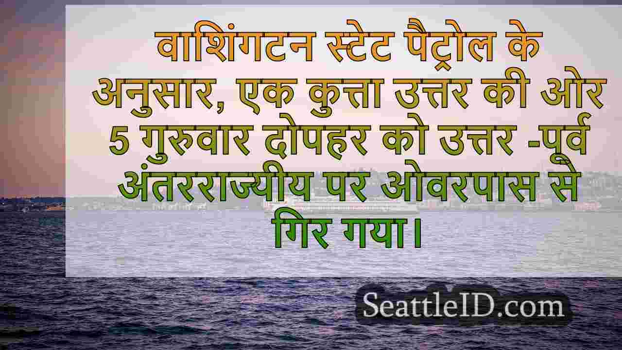 सिएटल समाचार SeattleID