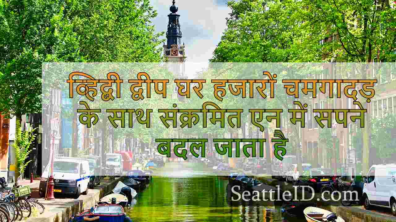 सिएटल समाचार SeattleID